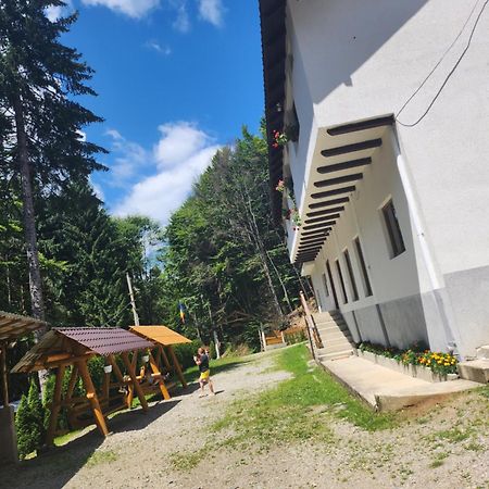Cabana Valea Bradului Nucsoara  Luaran gambar