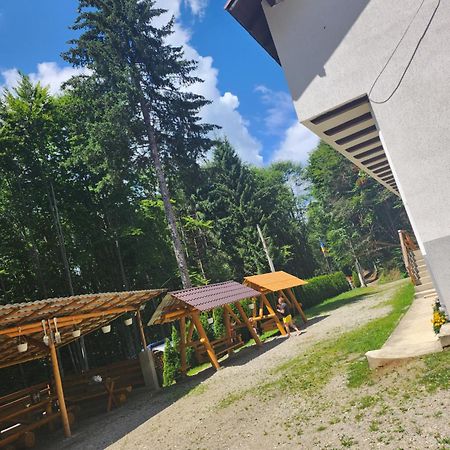 Cabana Valea Bradului Nucsoara  Luaran gambar