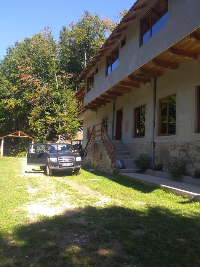 Cabana Valea Bradului Nucsoara  Luaran gambar
