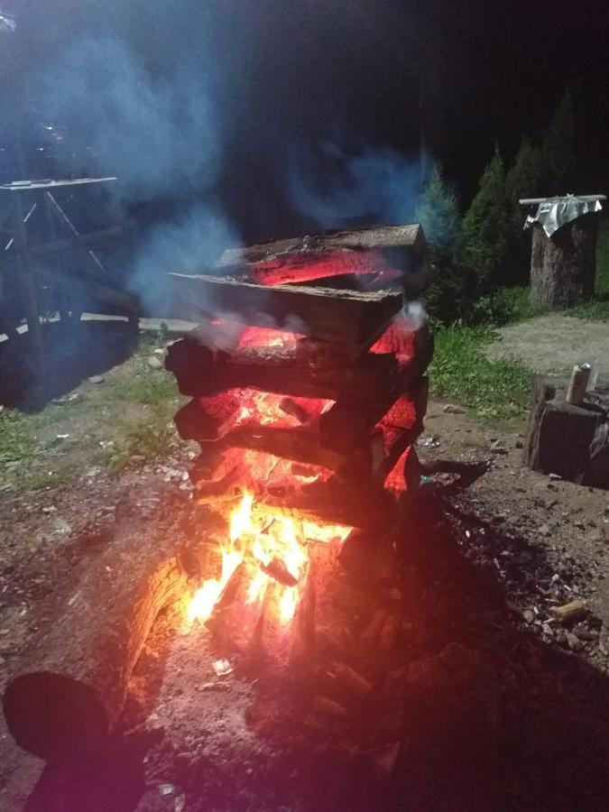 Cabana Valea Bradului Nucsoara  Luaran gambar