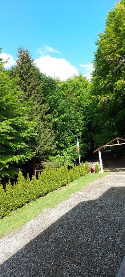 Cabana Valea Bradului Nucsoara  Luaran gambar