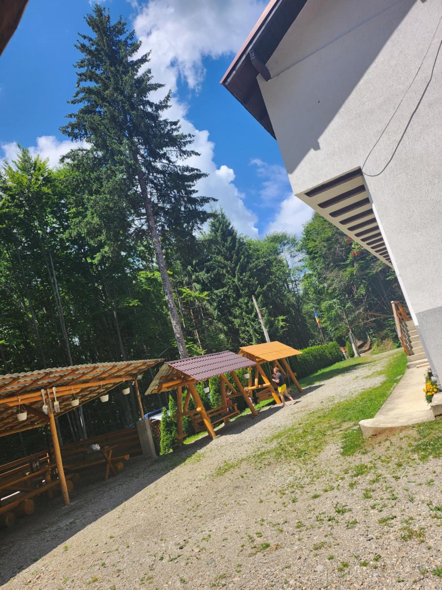 Cabana Valea Bradului Nucsoara  Luaran gambar